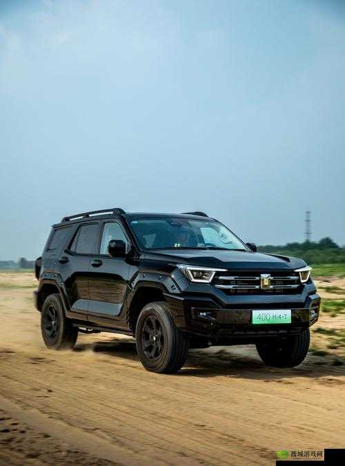 国产 SUV 精二区 69：探索未知的冒险之旅