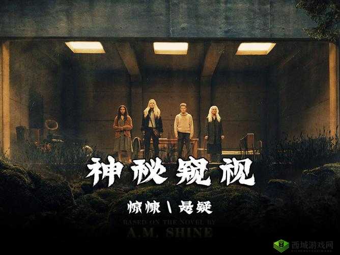 神秘电影 5 条免费路径究竟是什么？快来一探究竟全网热寻神秘电影免费路径，这里有 5 条等你发现